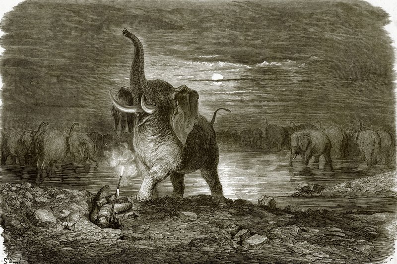Hunter and Elephant by English School
