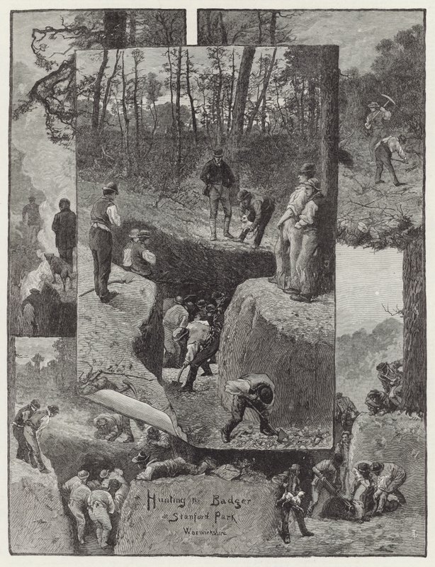 Hunting the Badger at Stanford Park by English School
