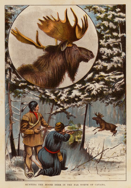 Hunting the moose deer in the far north of Canada by English School