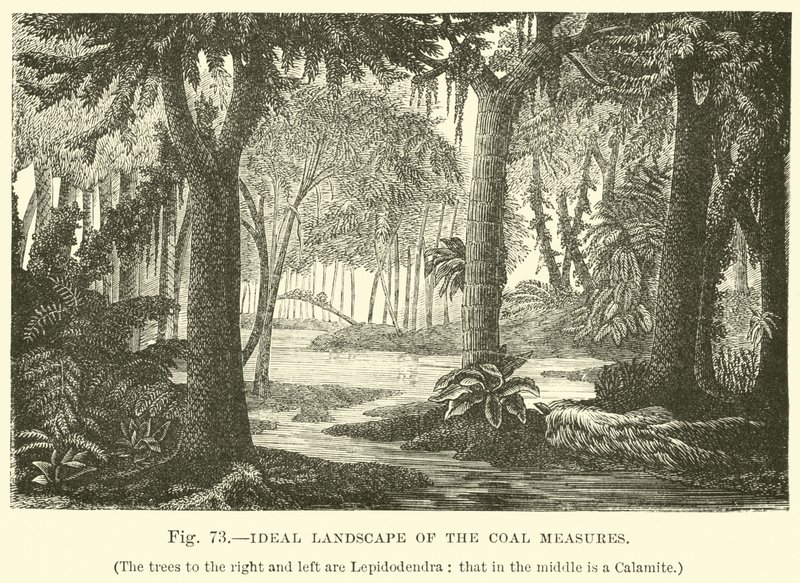 Ideal Landscape of the Coal Measures by English School