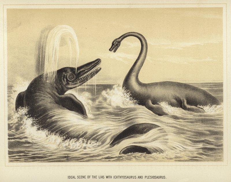 Ideal scene of the Lias with Ichthyosaurus and Plesiosaurus by English School