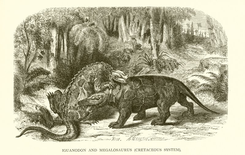 Iguanodon and Megalosaurus, Cretaceous System by English School