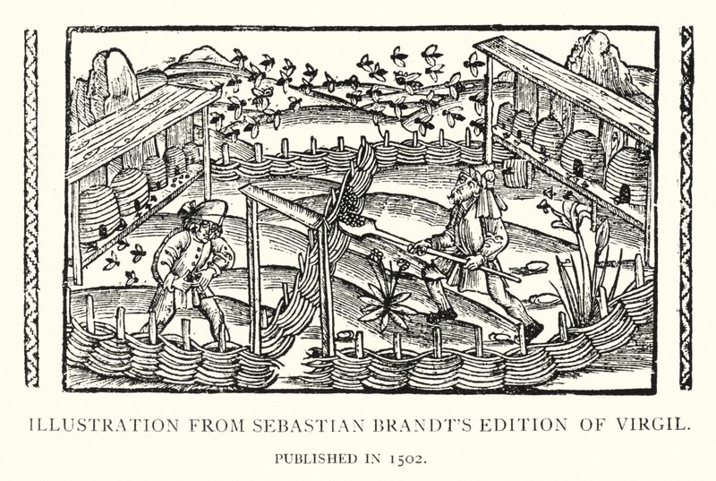 Illustration from Sebastian Brandt