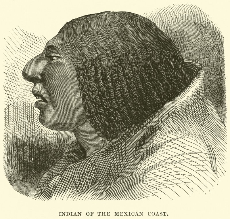 Indian of the Mexican Coast by English School