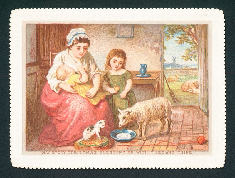 Lamb drinking milk in kitchen by English School