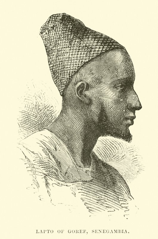 Lapto of Goree, Senegambia by English School