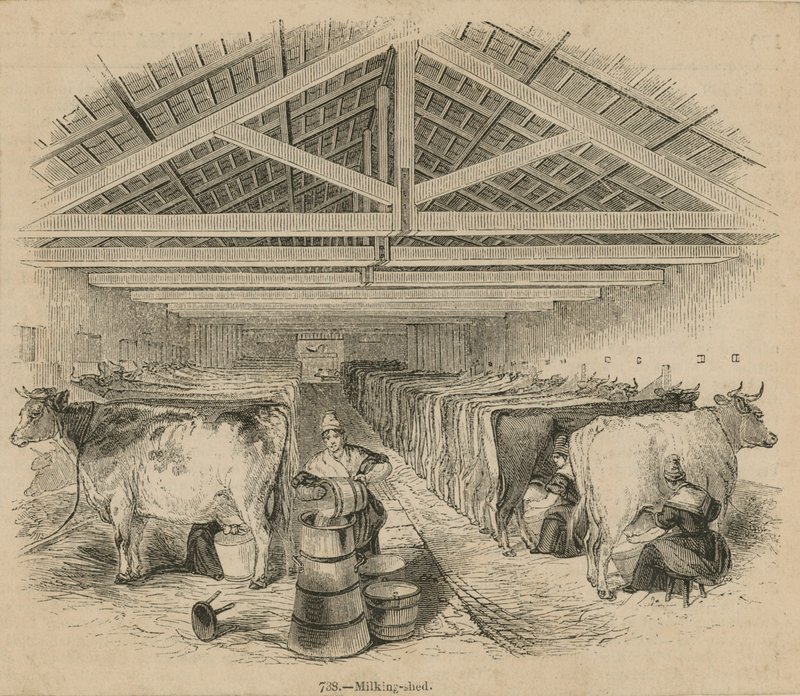 Laycocks Dairy Farm, dated July 1841 by English School