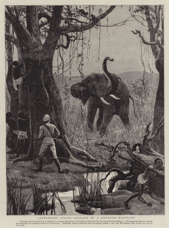 Lieutenant Stairs charged by a Wounded Elephant by English School