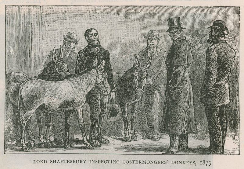 Lord Shaftesbury inspecting costermongers donkeys by English School