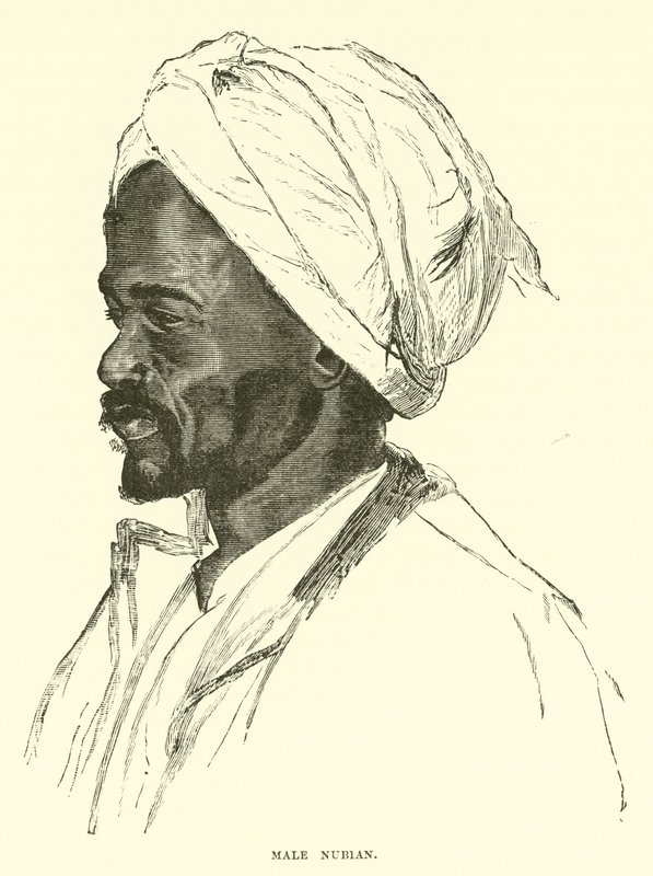 Male Nubian by English School