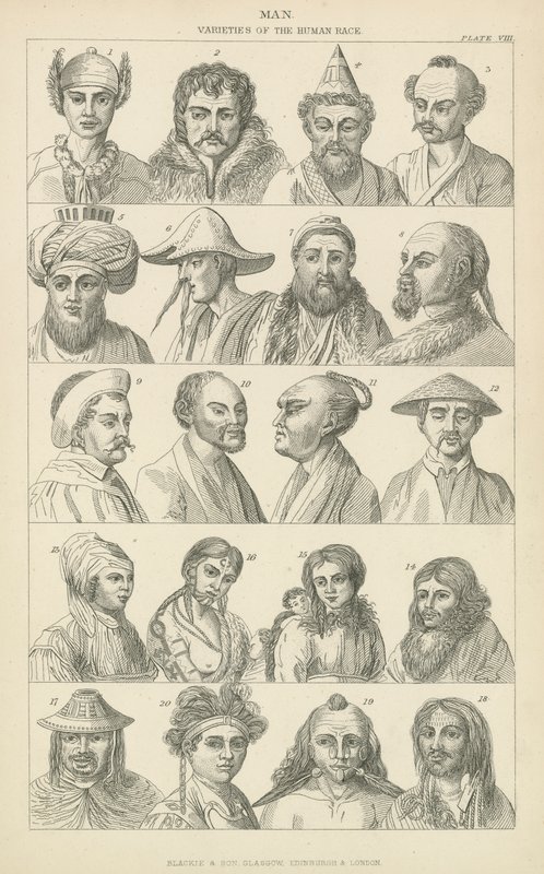 Man. Varieties of the human race by English School