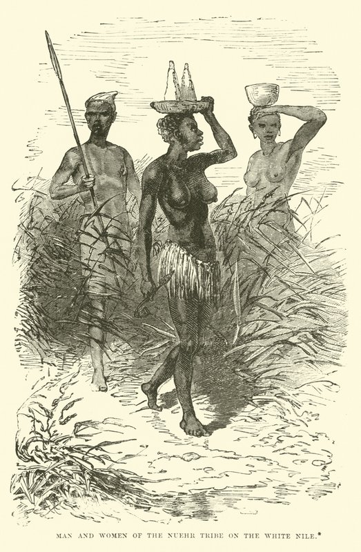 Man and Woman of the Nuehr Tribe on the White Nile by English School