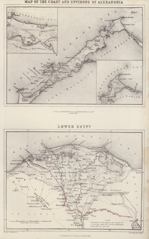 Map of the Coast and Environs of Alexandria; Lower Egypt by English School
