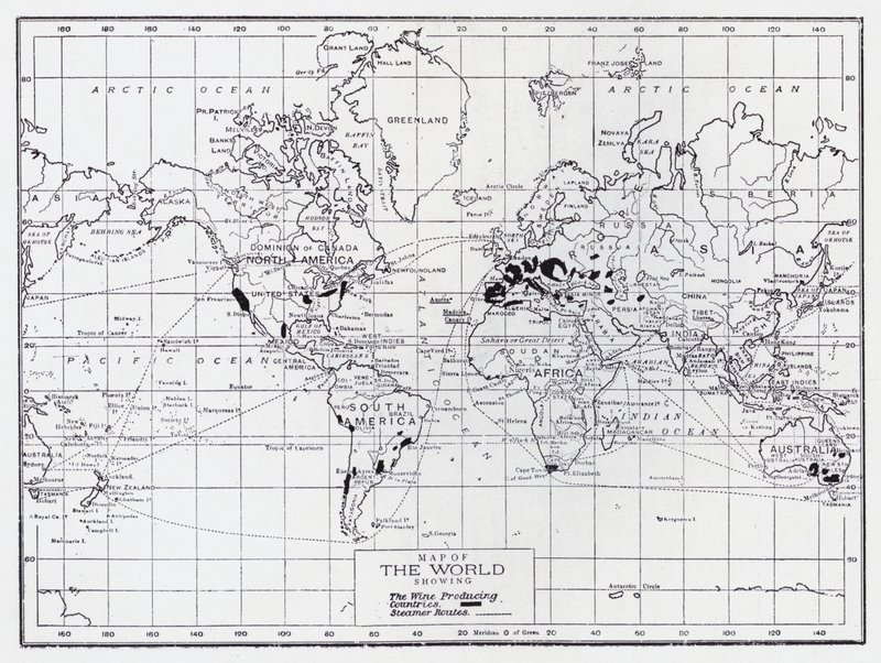 Map of the World Showing the Wine Producing Countries by English School