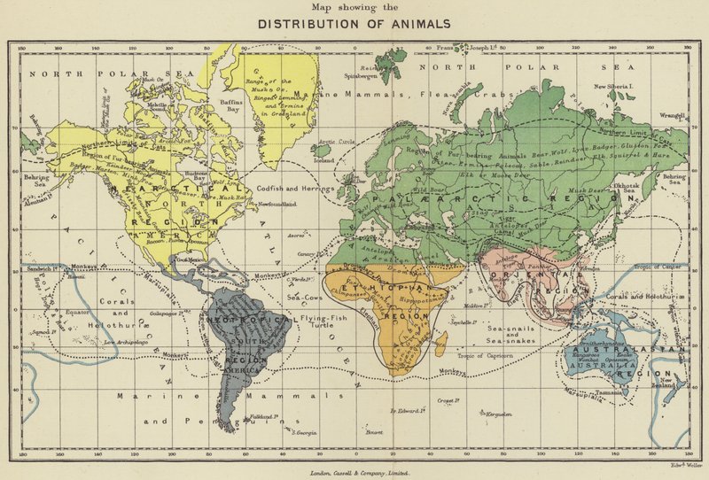 Map Showing the Distribution of Animals by English School