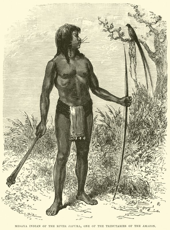 Mesaya Indian of the River Japura, one of the Tributaries of the Amazon by English School