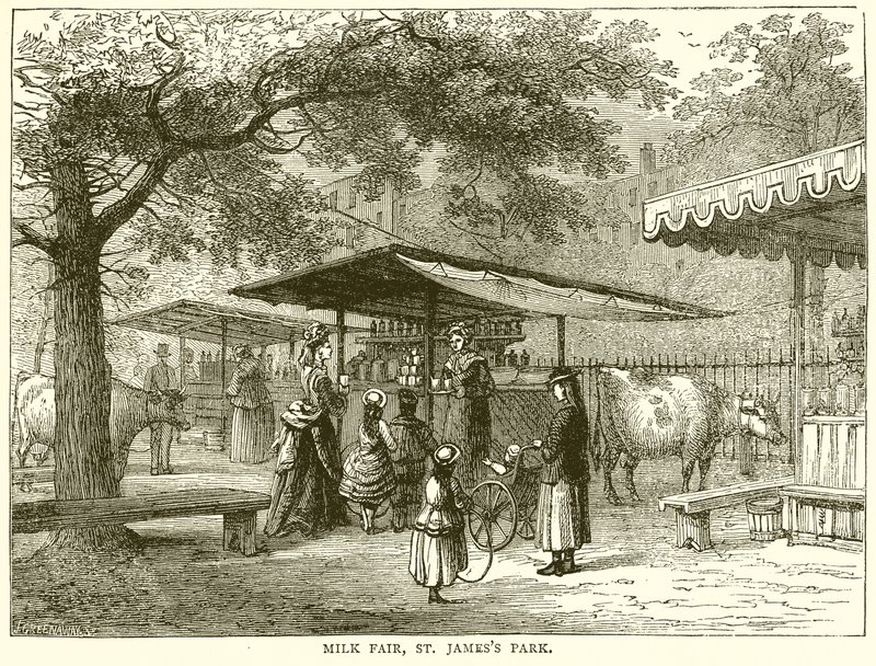 Milk Fair, St. James
