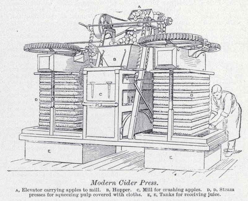 Modern cider press by English School