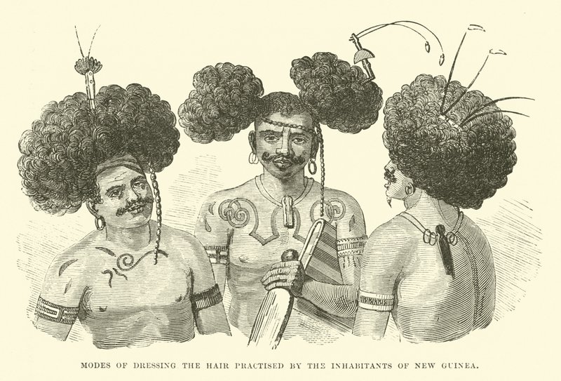 Modes of Dressing the Hair Practised by the Inhabitants of New Guinea by English School
