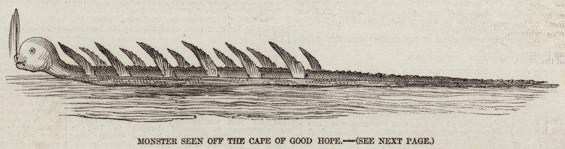 Monster seen off the Cape of Good Hope by English School