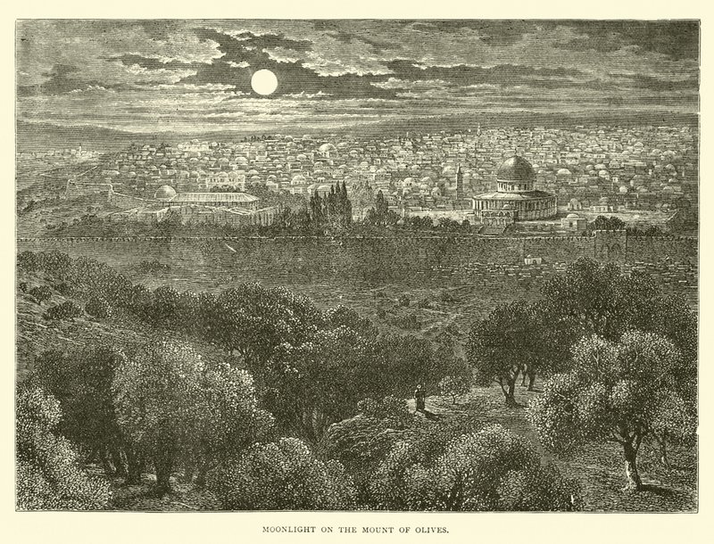 Moonlight on the Mount of Olives by English School