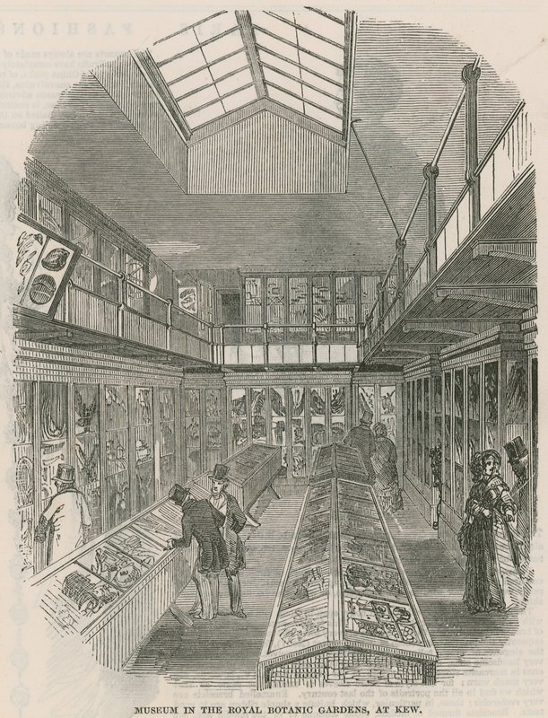 Museum in the Royal Botanic Gardens, at Kew by English School
