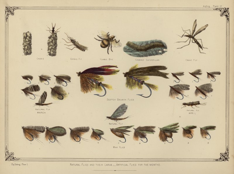 Natural Flies and Their Larvae, Artificial Flies for the Months by English School