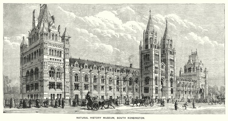 Natural History Museum, South Kensington by English School