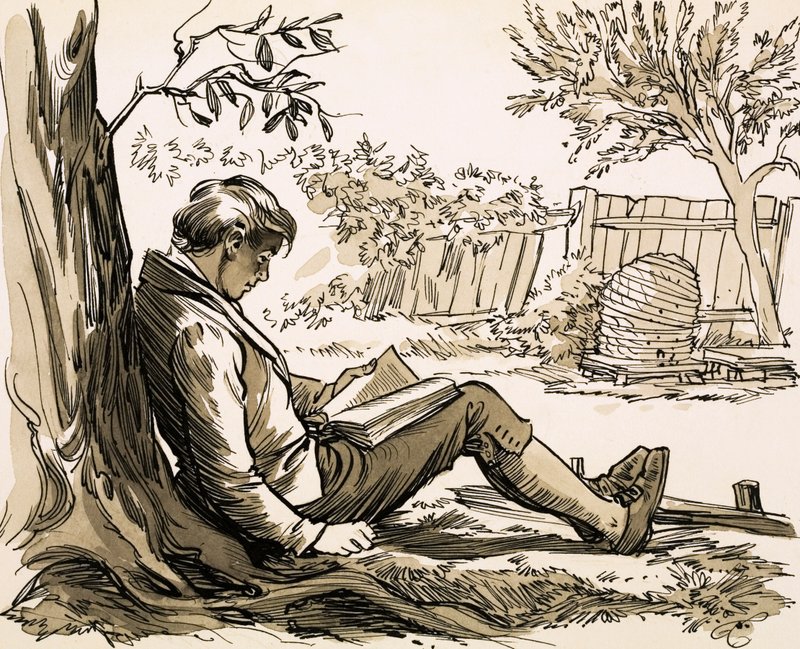 Naturalist David Douglas Inspired by Reading Robinson Crusoe by English School