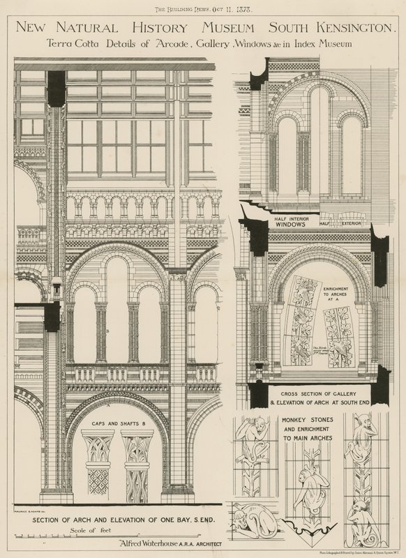 New Natural History Museum, South Kensington, London by English School