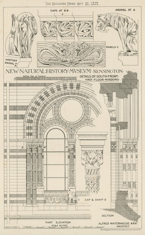 New Natural History Museum, South Kensington, London by English School