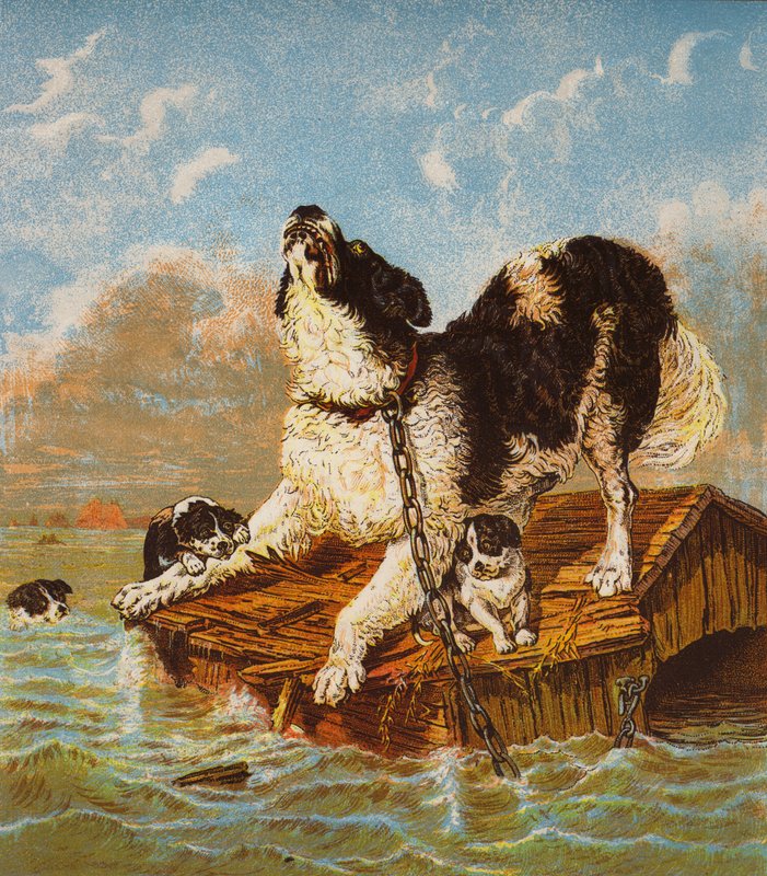 Newfoundland Dog and Puppies in Peril by English School