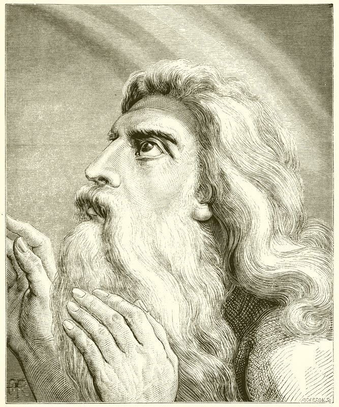 Noah by English School