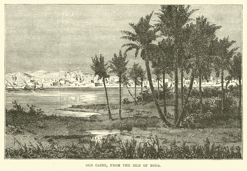 Old Cairo, from the Isle of Roda by English School