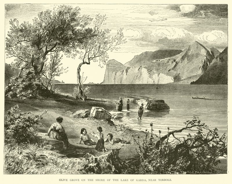 Olive Grove on the shore of the Lake of Garda, near Torbole by English School