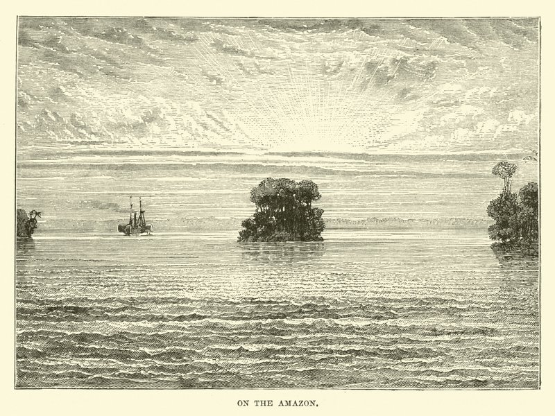 On the Amazon by English School