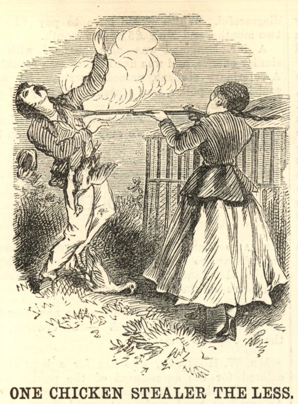 One chicken stealer the less by English School