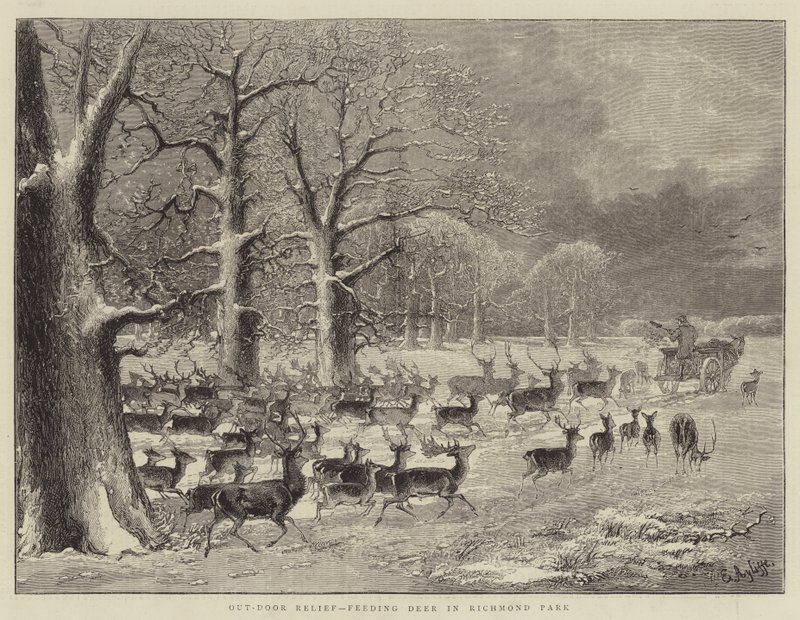 Out-Door Relief, Feeding Deer in Richmond Park by English School
