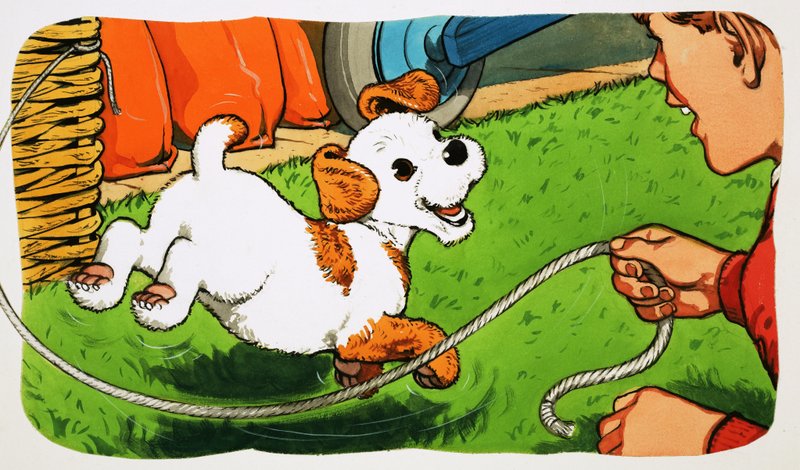 Paddy Paws by English School