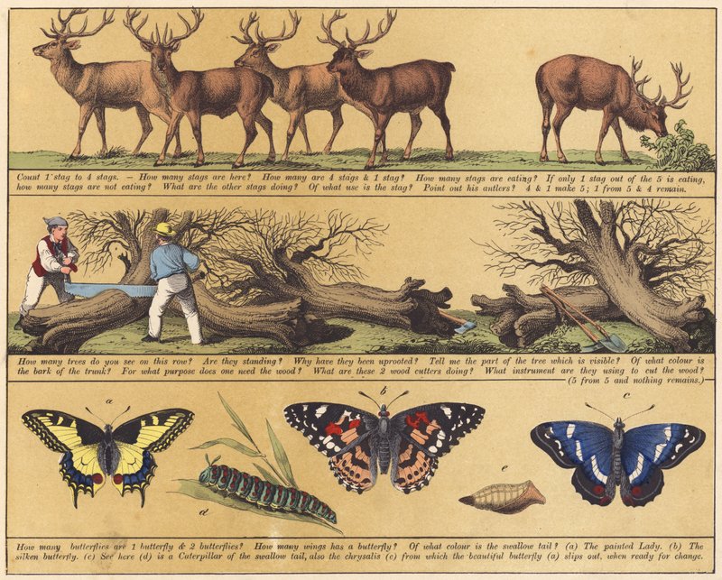 Page from The New Picture Book by English School