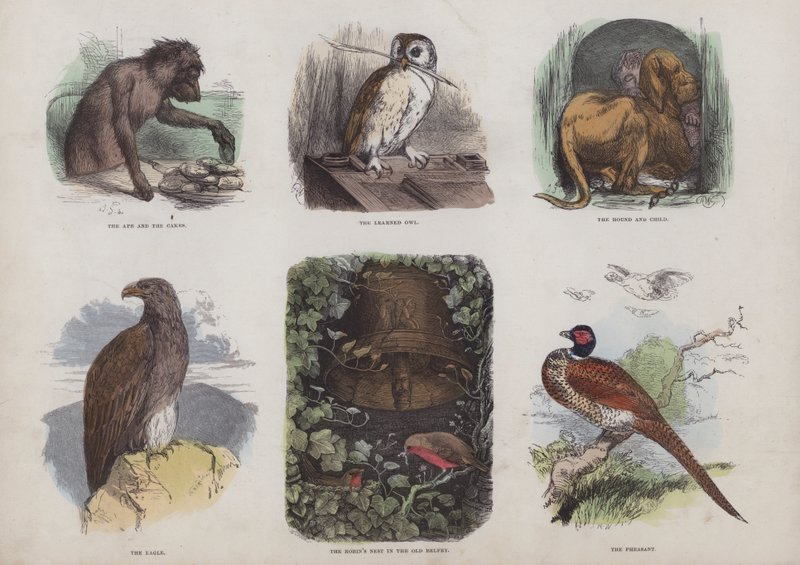 Page from the Attractive Picture Book by English School