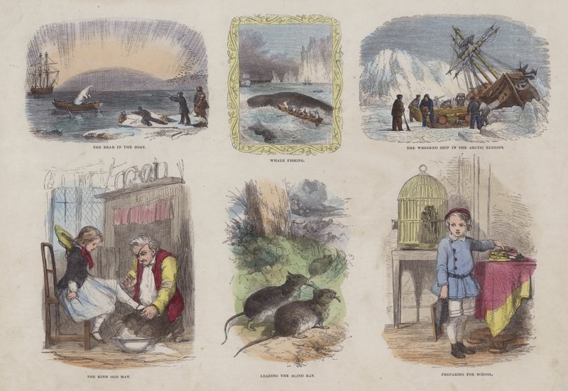 Page from the Attractive Picture Book by English School