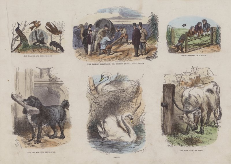 Page from the Attractive Picture Book by English School