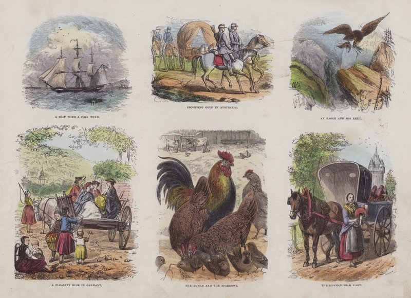 Page from the Attractive Picture Book by English School