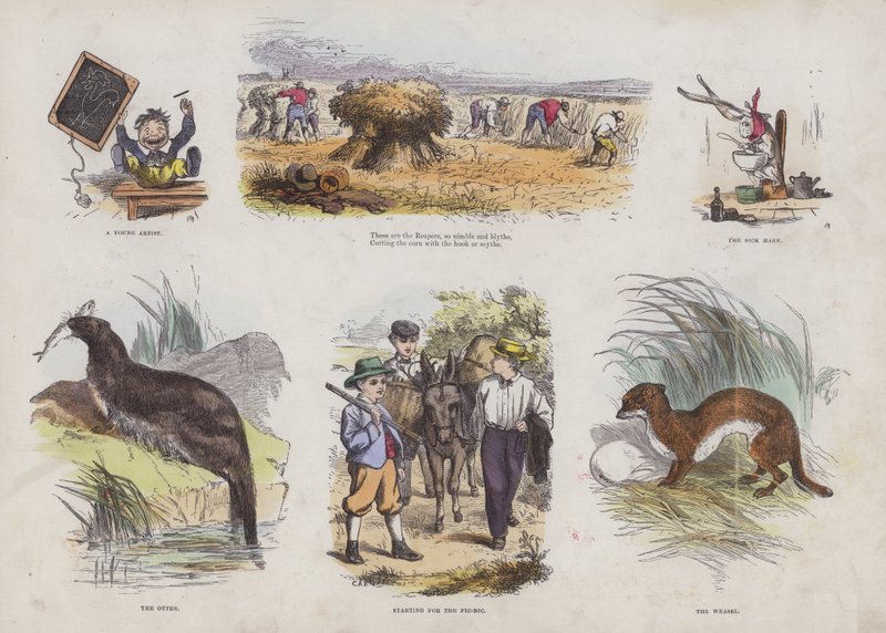 Page from the Attractive Picture Book by English School
