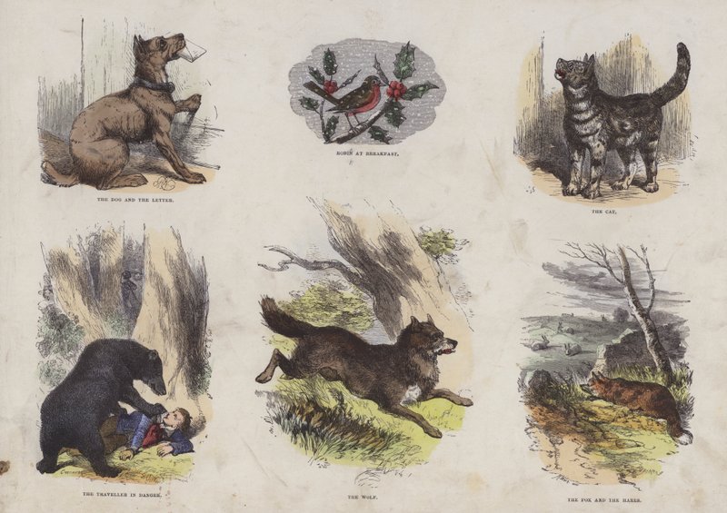 Page from the Attractive Picture Book by English School