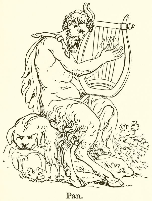 Pan by English School