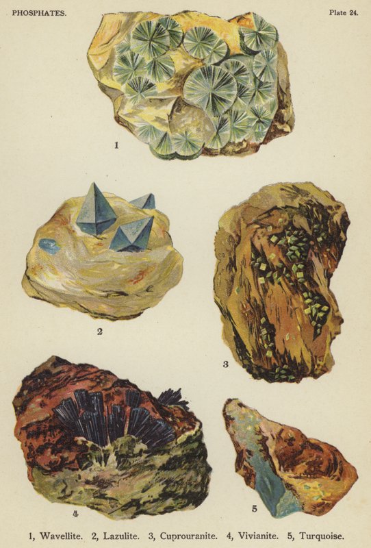 Phosphates, wavellite, lazulite, cuprouranite, vivianite, turquoise by English School