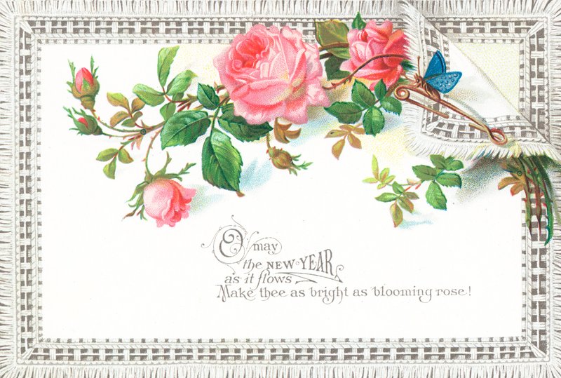 Pink Roses and Blue Butterfly by English School