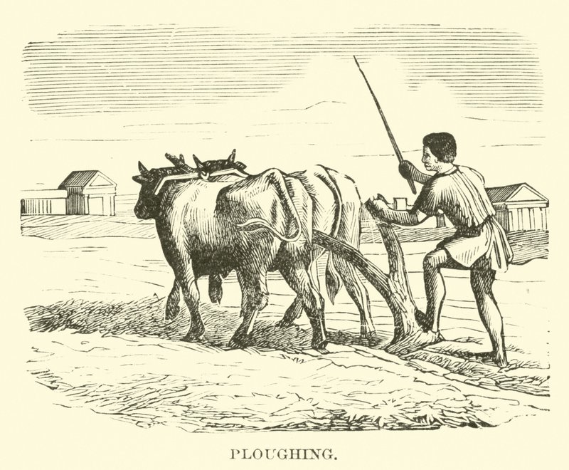 Ploughing by English School